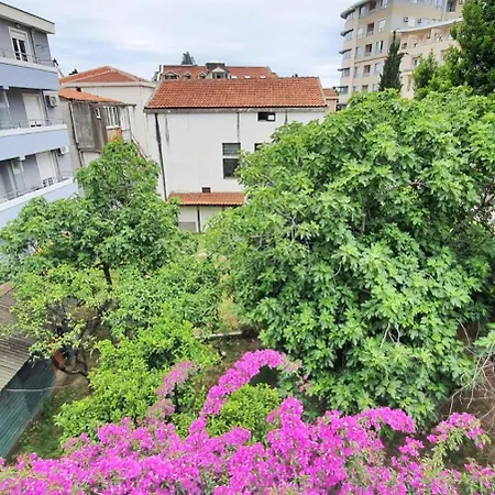 Apartment Vojinovic *