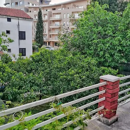 Vojinovic * Budva