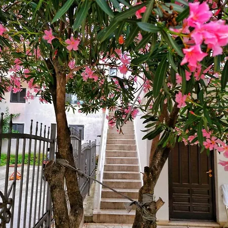 Vojinovic Budva
